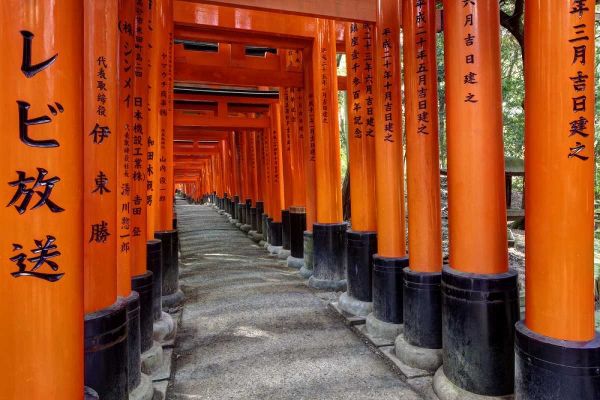 Flaherty, Dennis 아티스트의 Japan, Kyoto, Fushimi-Inari-Taisha Torii Gates작품입니다.